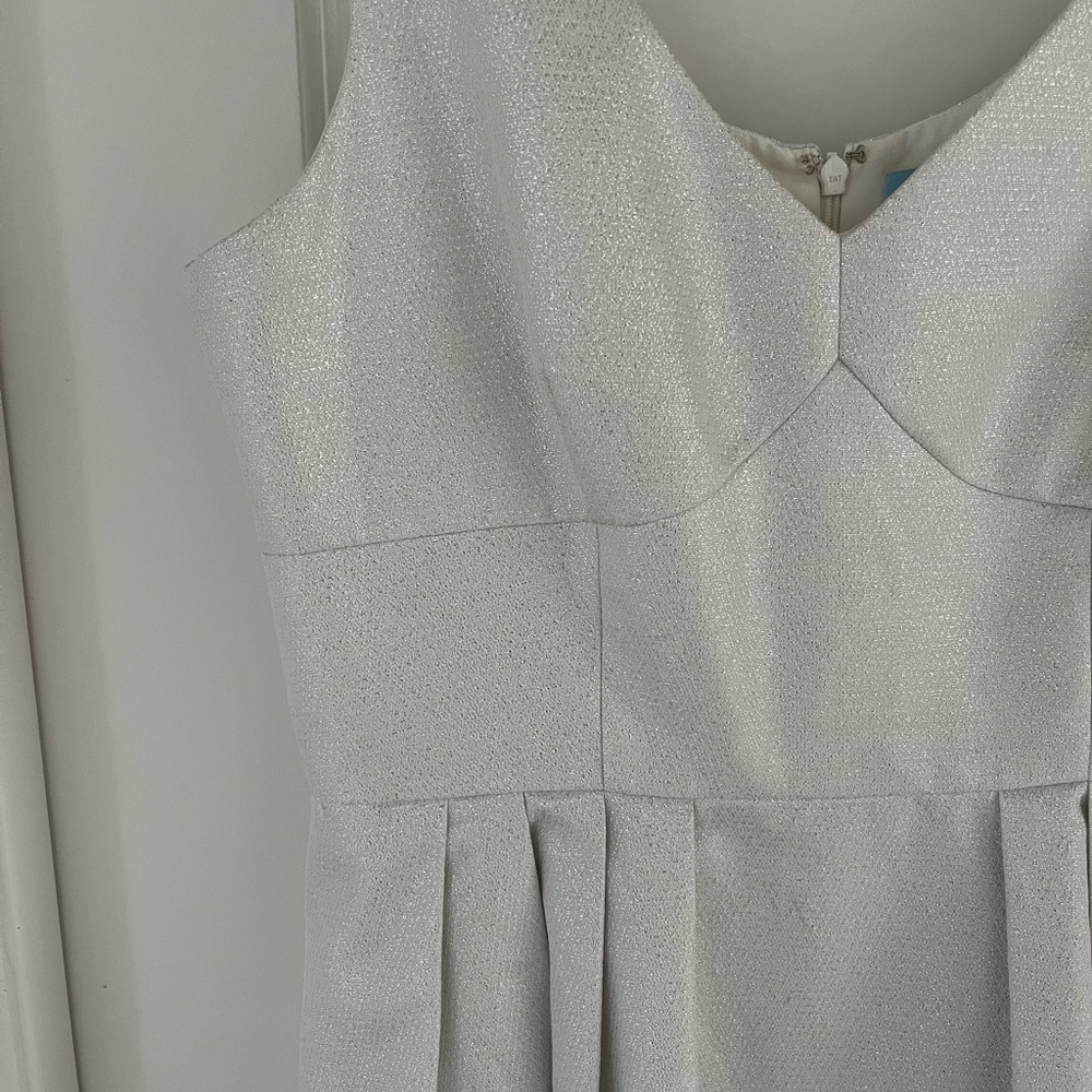 Cynthia Steffe Shimmery Sleeveless Dress
